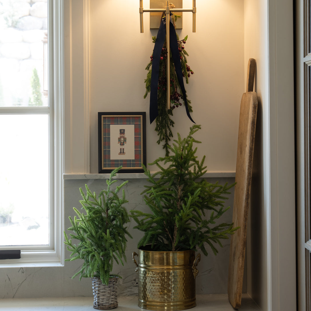 Cypress Basket Tree