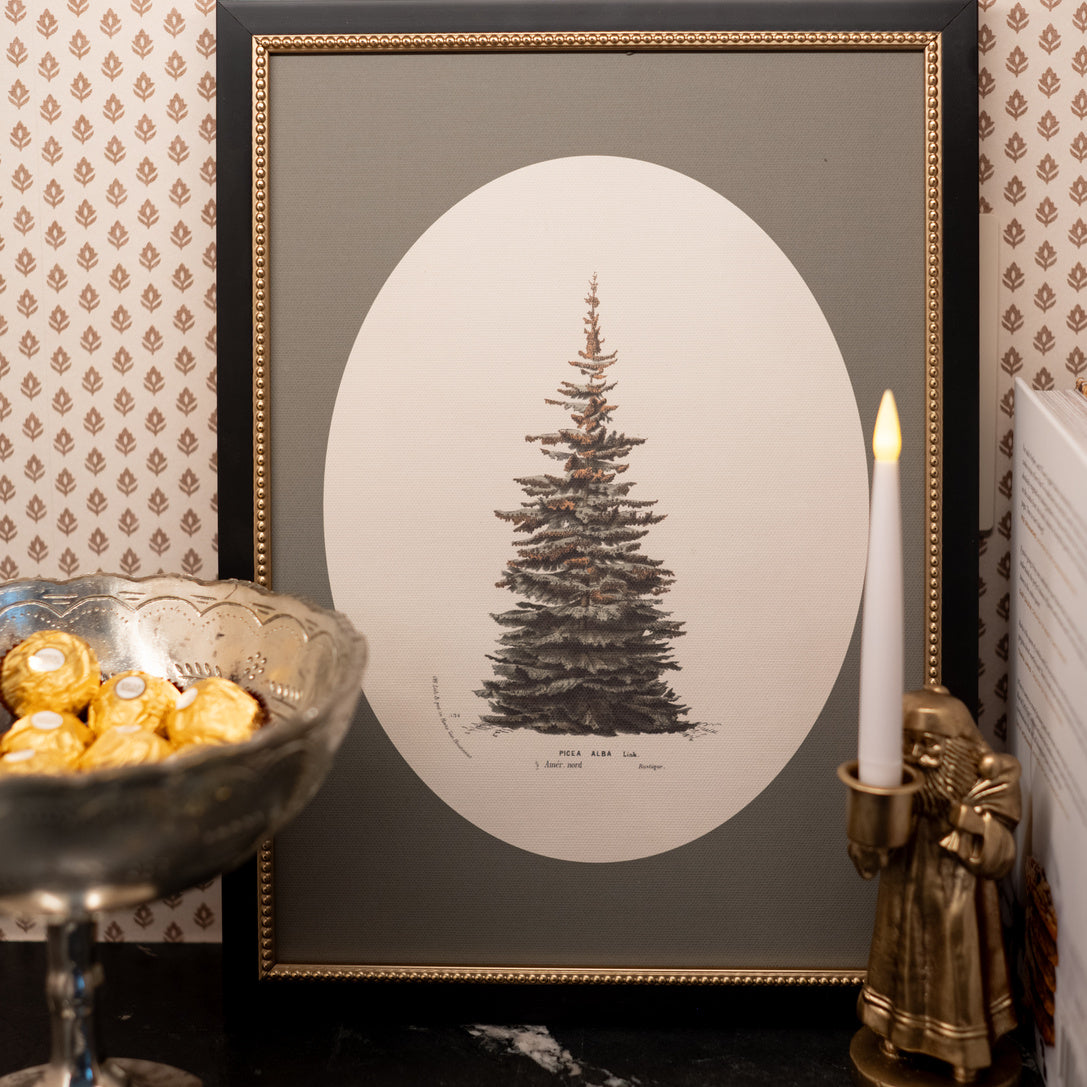 Winter Pine Framed Art