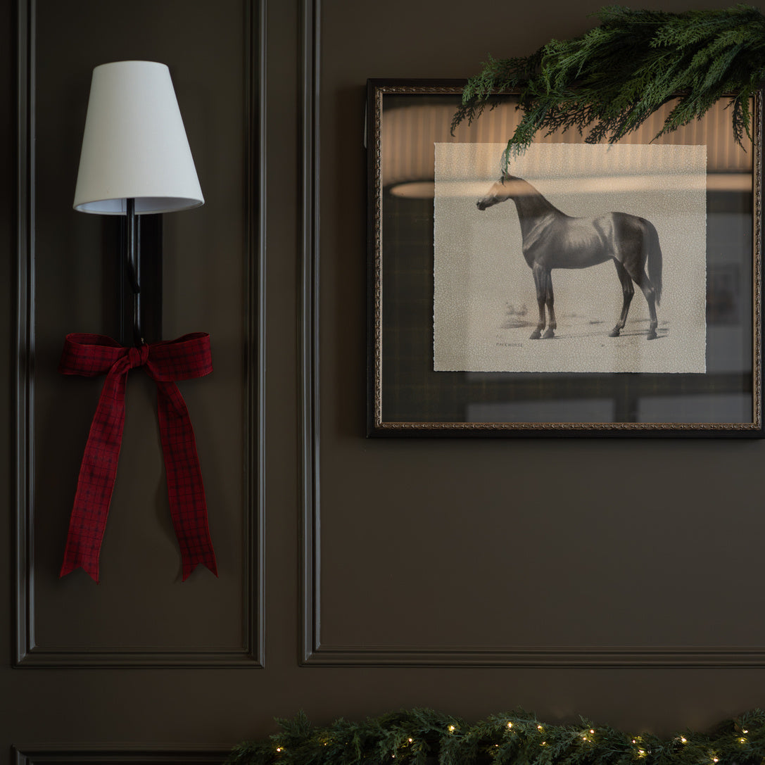 Secretariat Framed Art