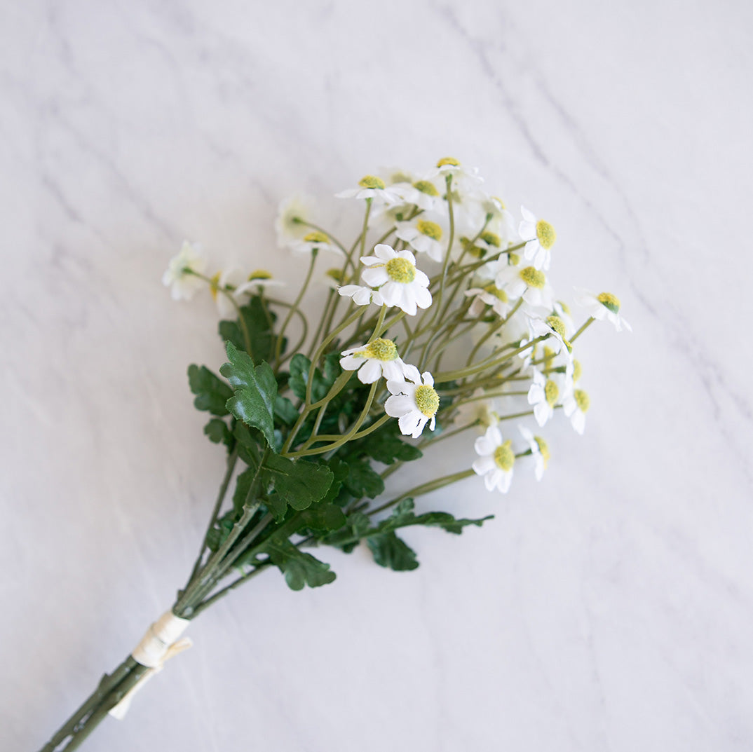 Daisy Bundle