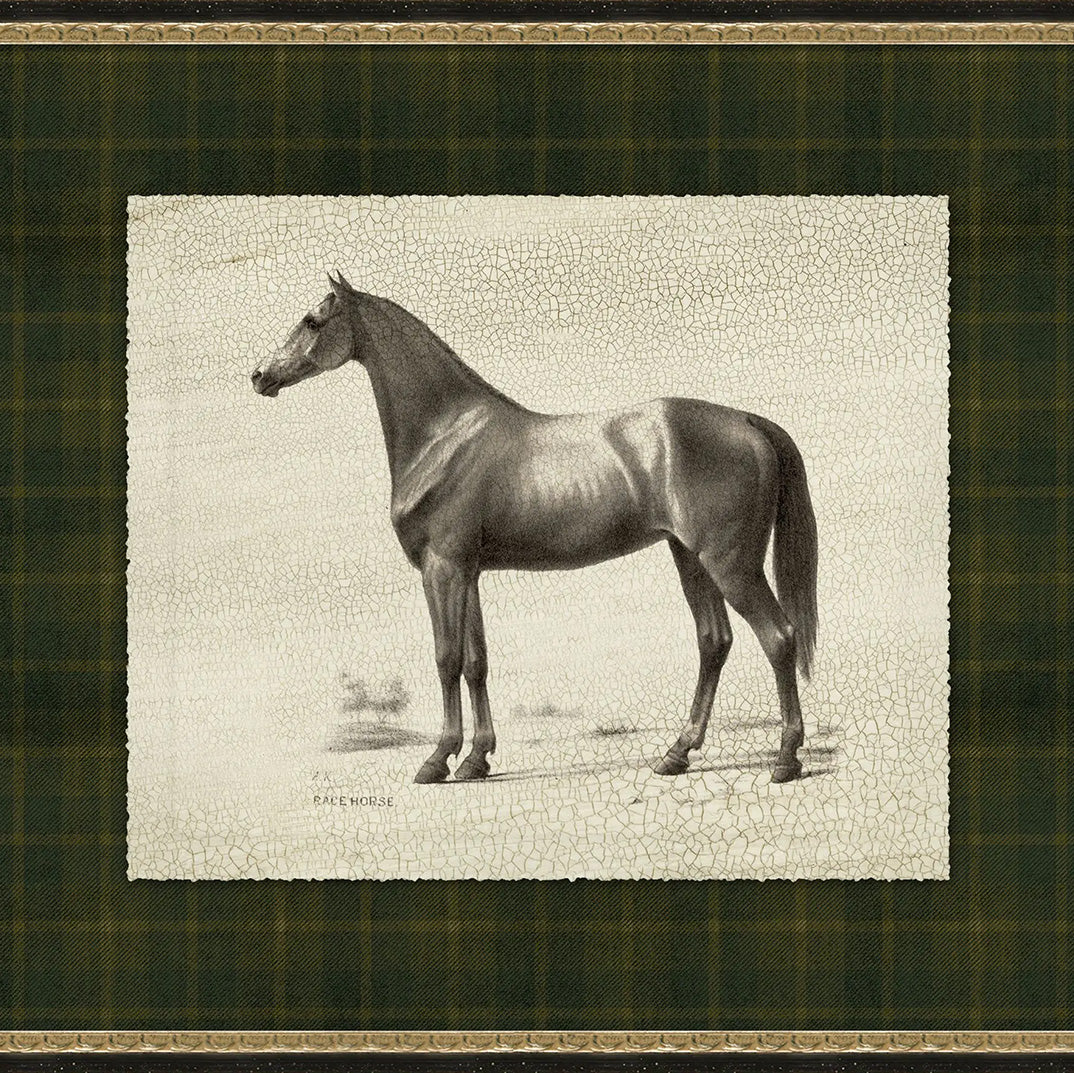 Secretariat Framed Art