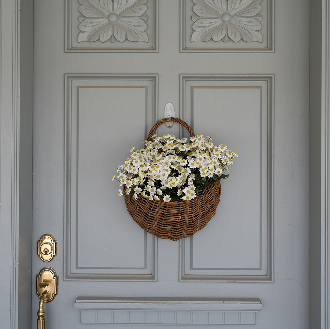 Daisy Bundle