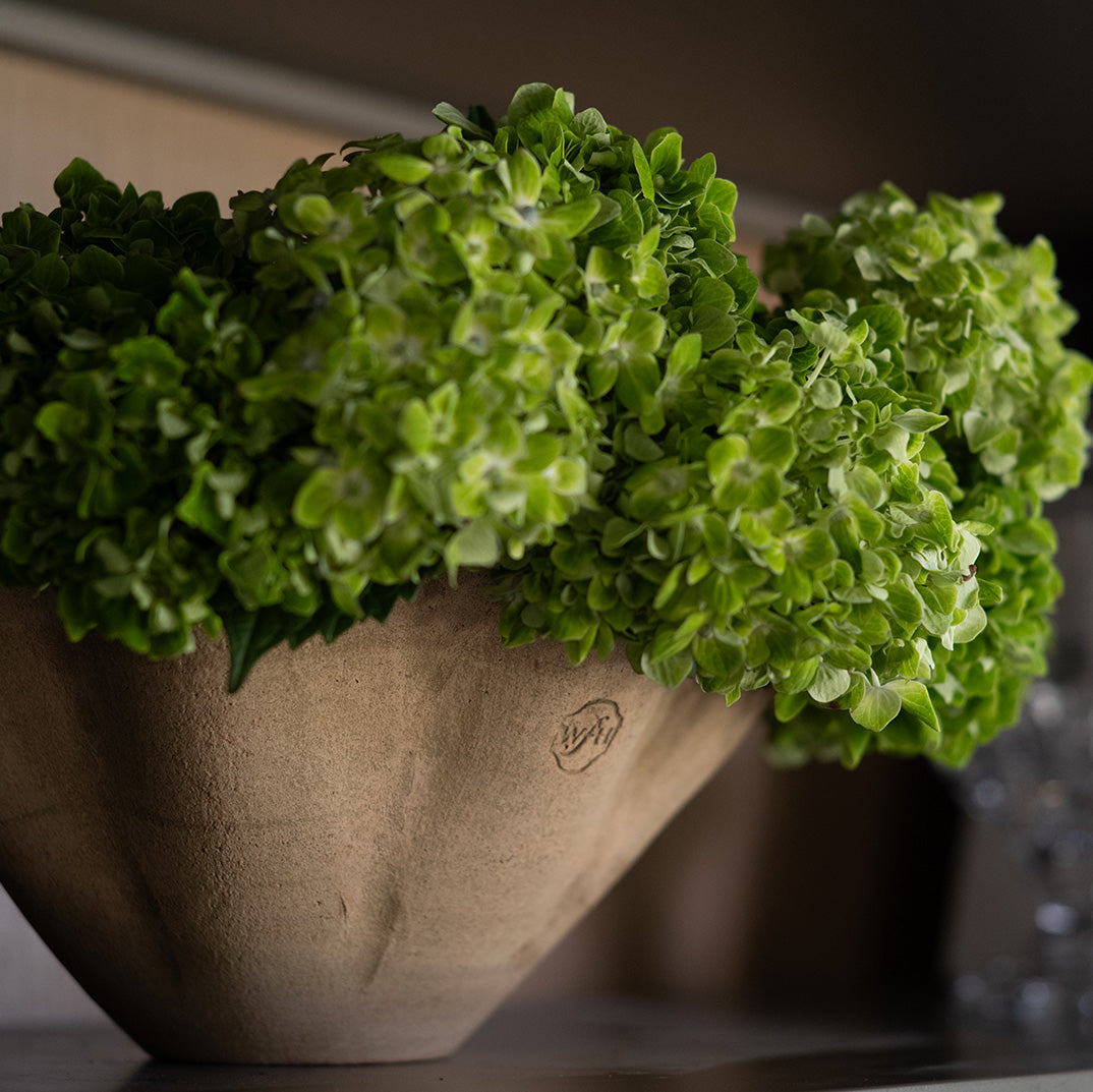 Eden Scalloped Bowl