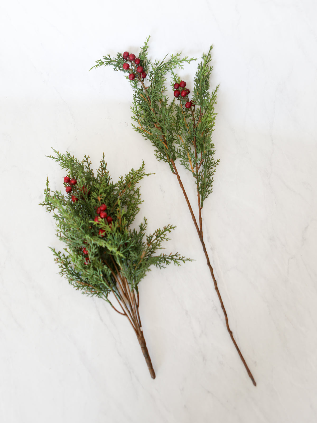 Holly Berry Stem
