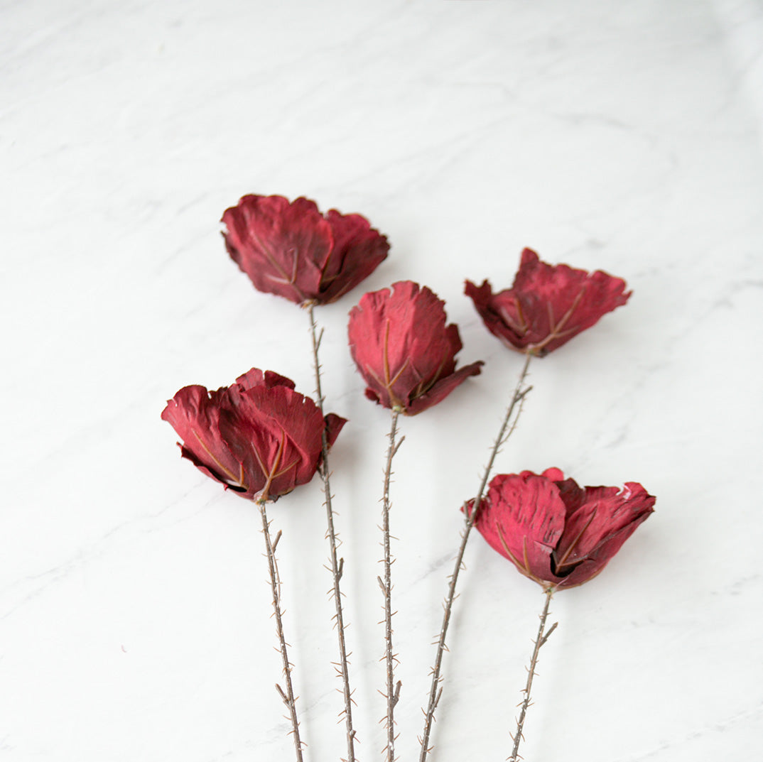 Crimson Poppy Spray