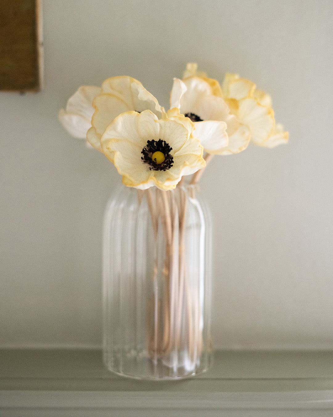 Poppy Cluster