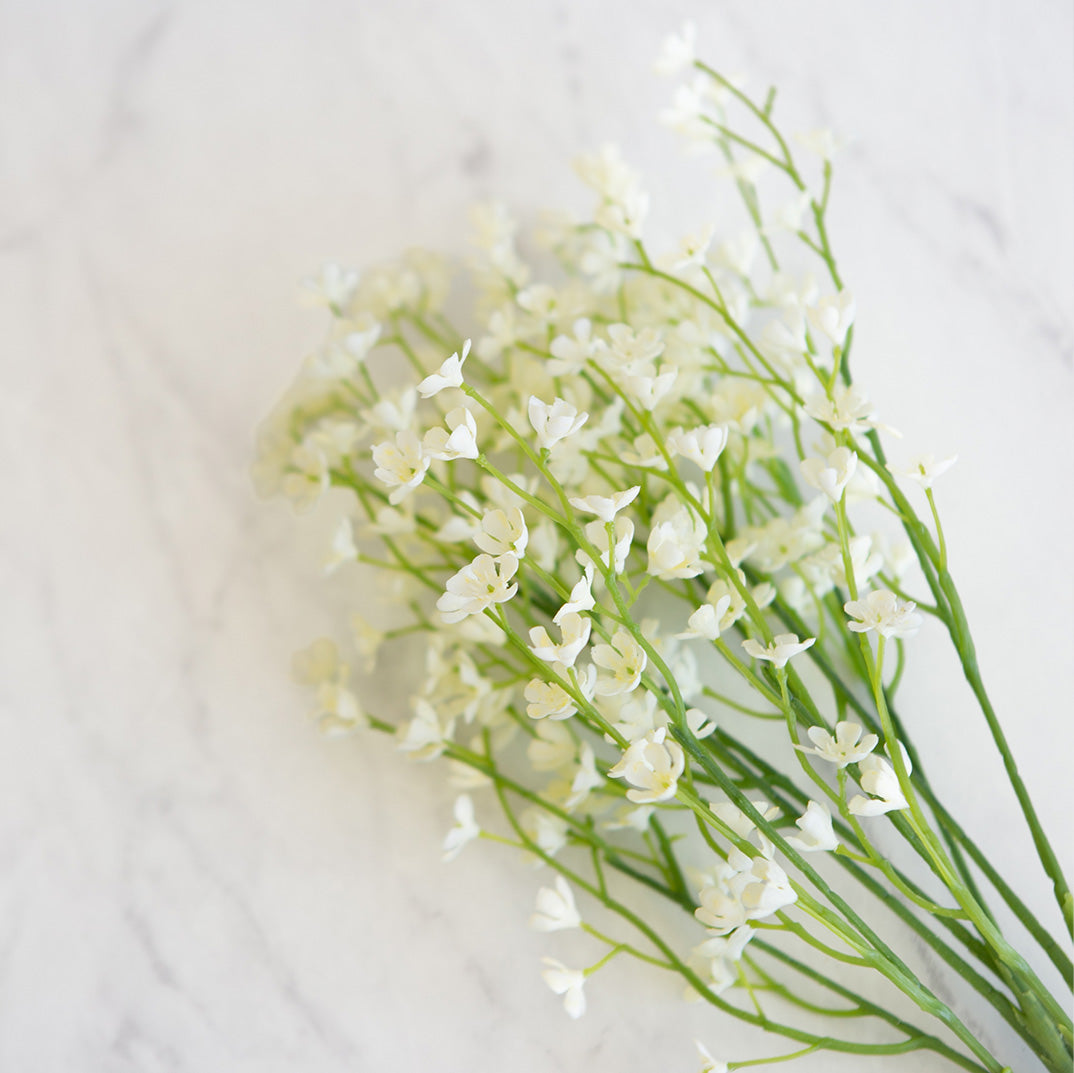 White Blossom Bundle