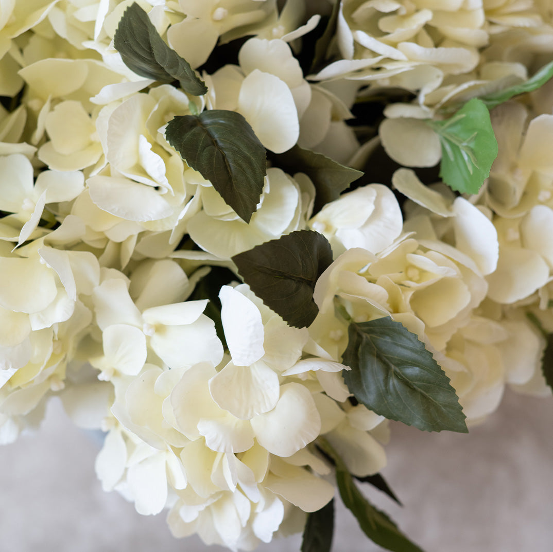 Celeste Hydrangea Stem