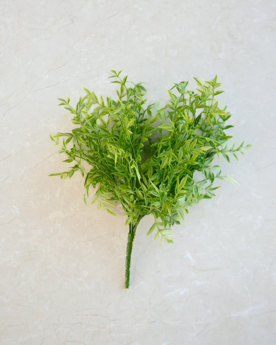 Grove Stem