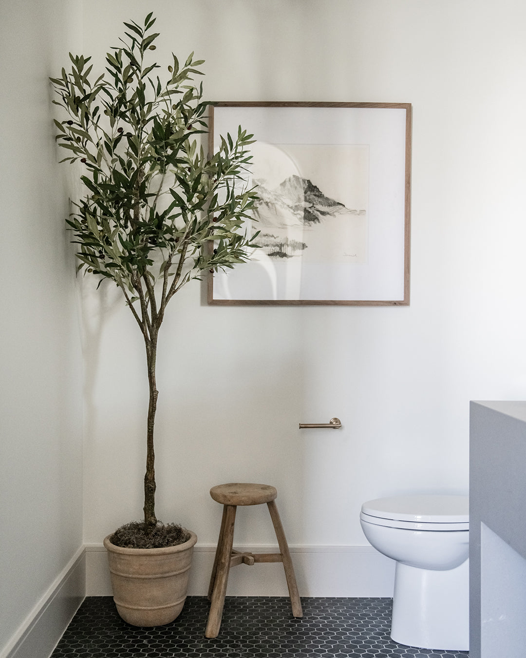 olive tree plant pots 84