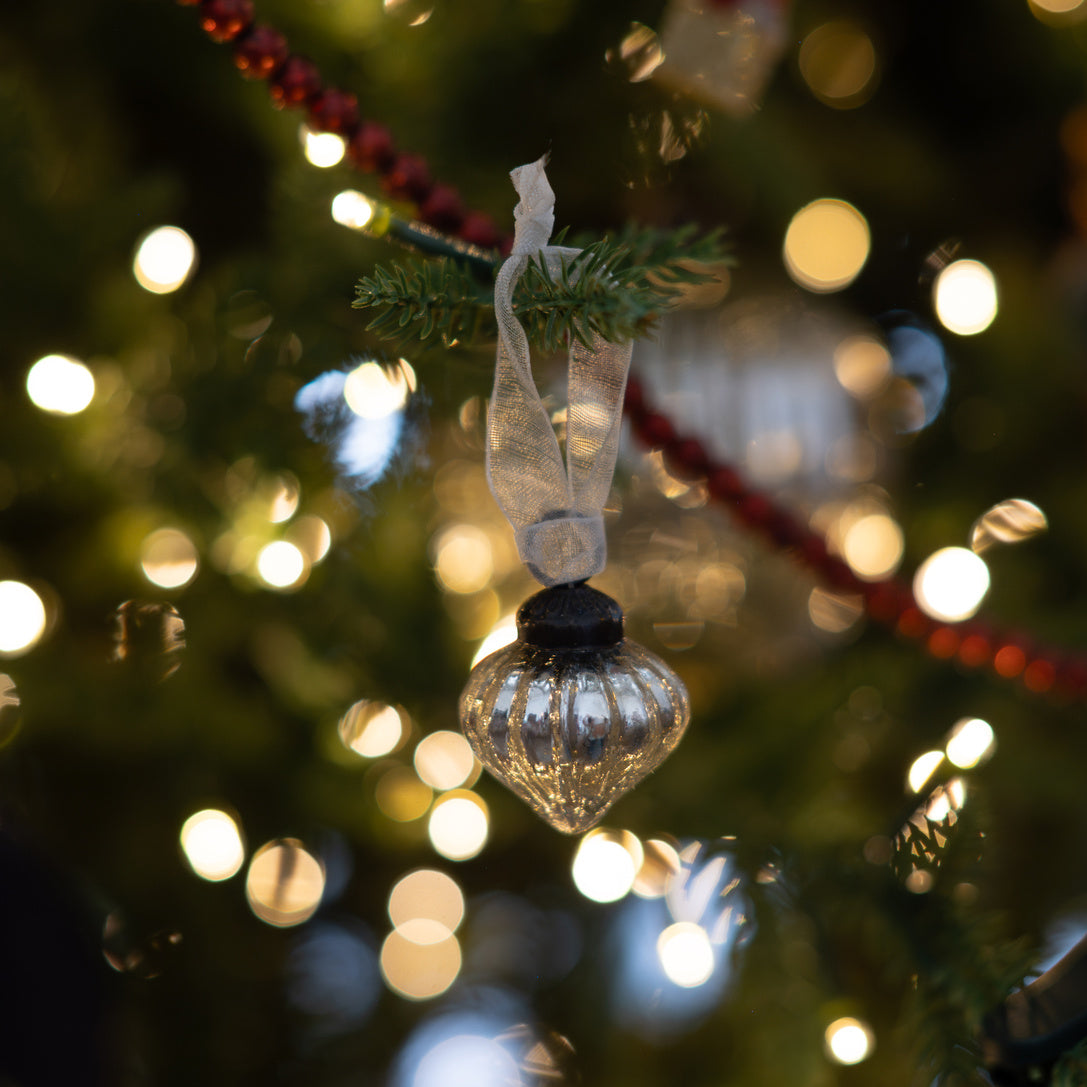 Iced Ornaments - Set of 4