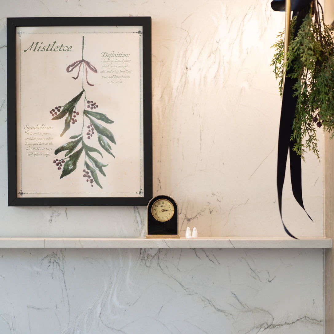 Mistletoe Framed Art