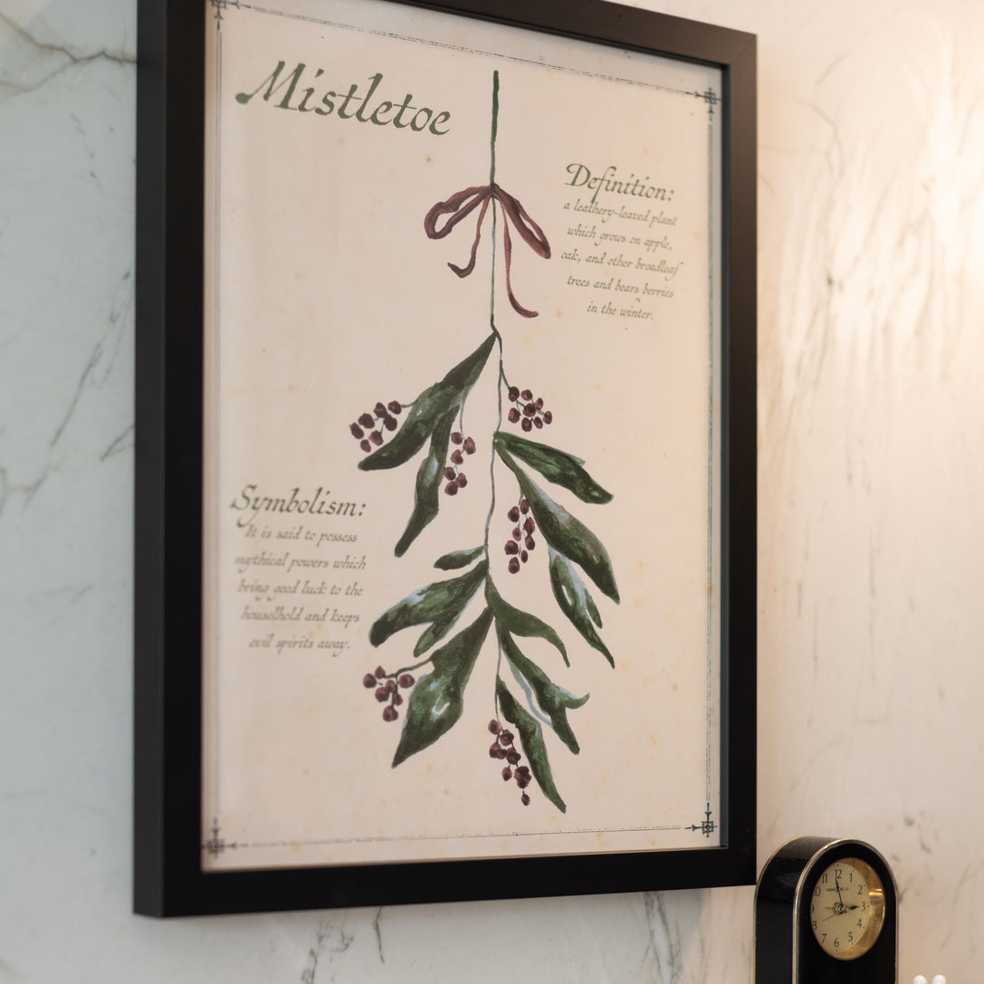 Mistletoe Framed Art