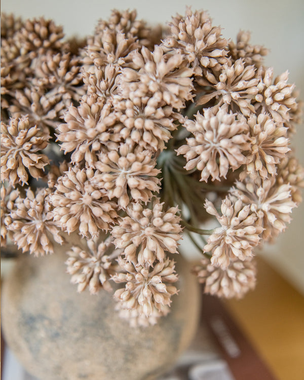 11" Brown Angelica Round Stem Bundle