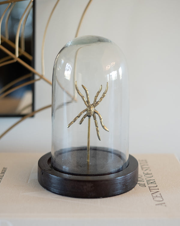 Arachnid Cloche