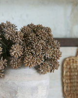 Autumn Stem