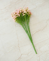 Blush Baby's Breath Stem