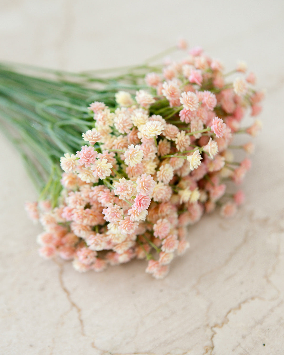 Blush Baby's Breath Stem