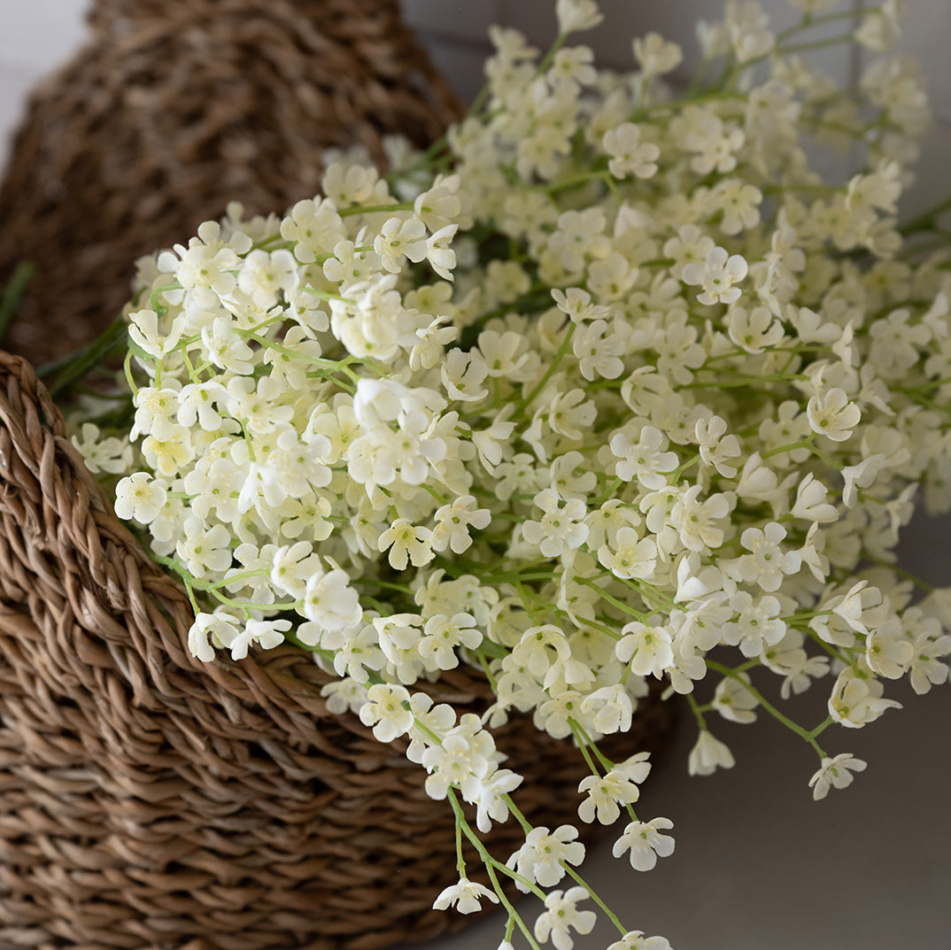White Blossom Bundle