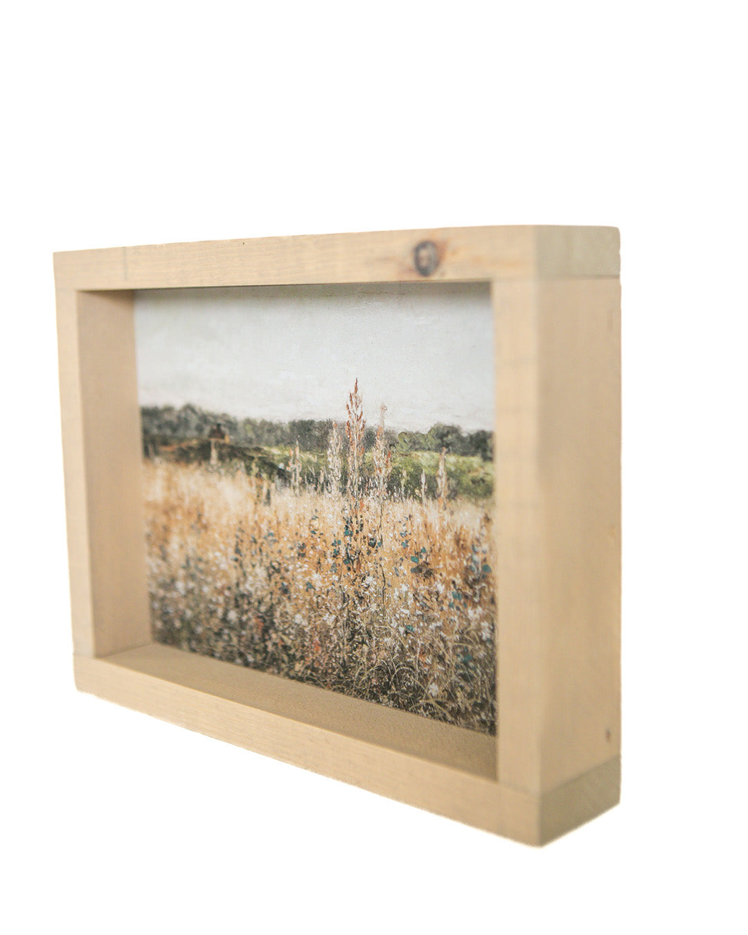 Golden Fields Framed Art
