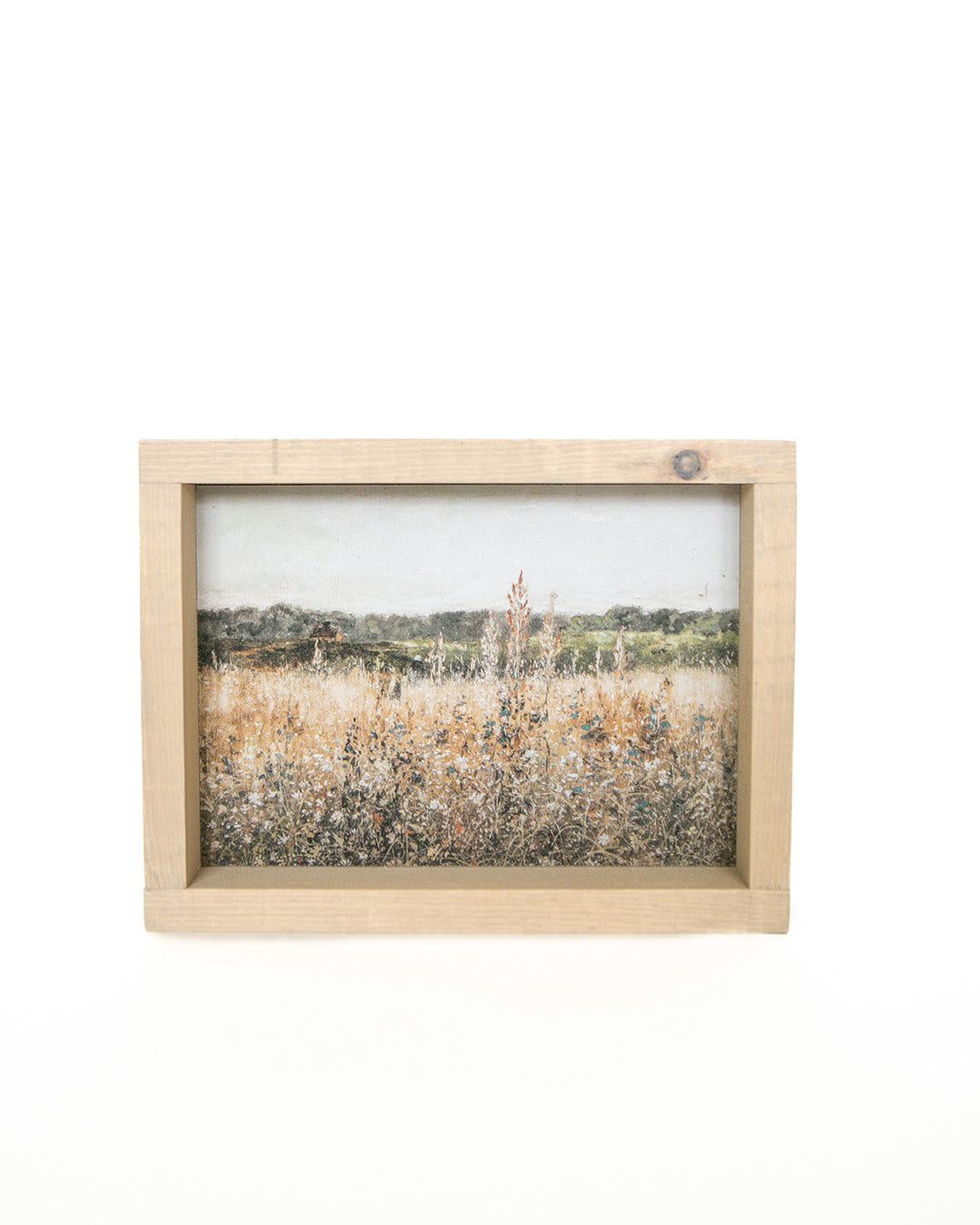 Golden Fields Framed Art