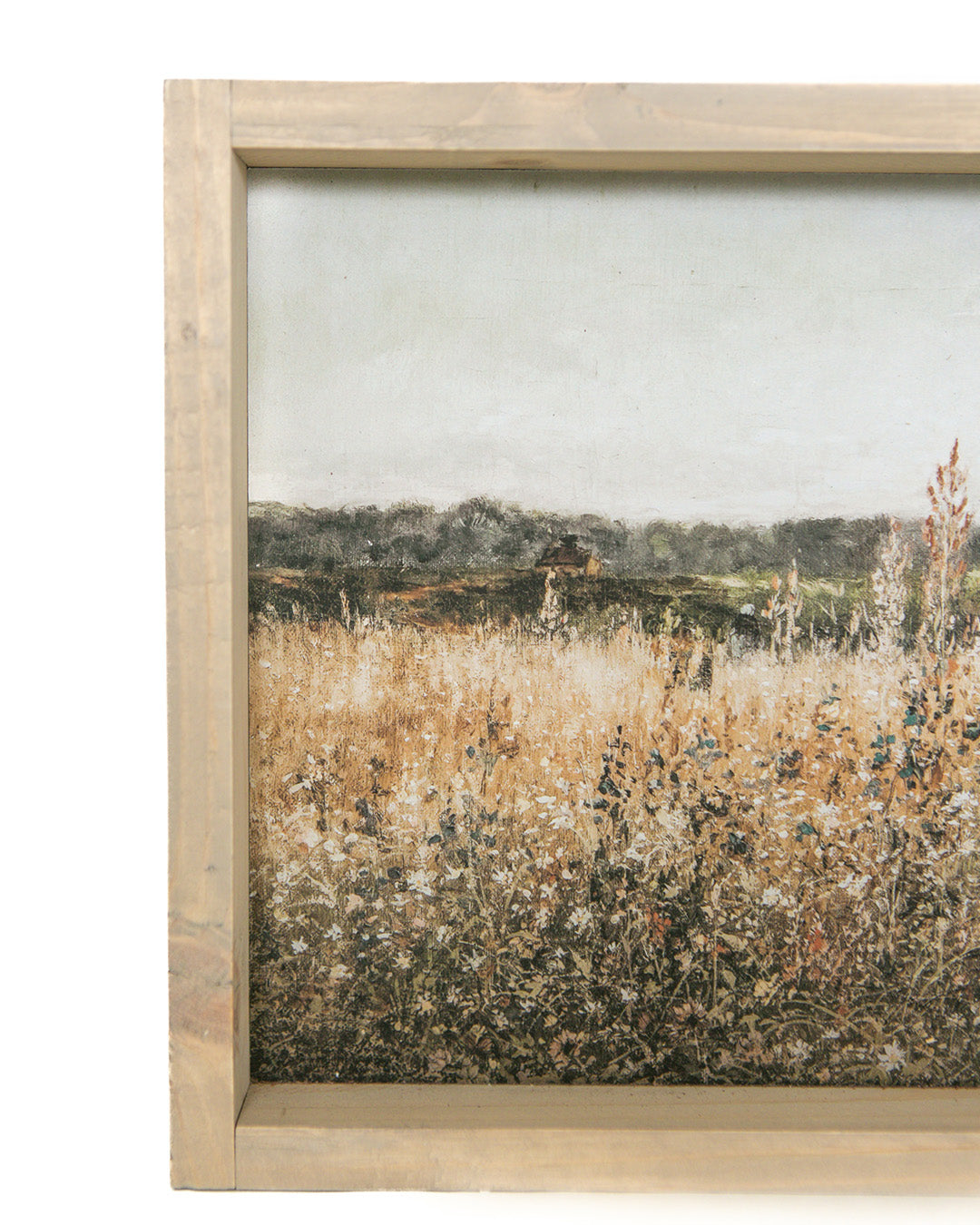 Golden Fields Framed Art