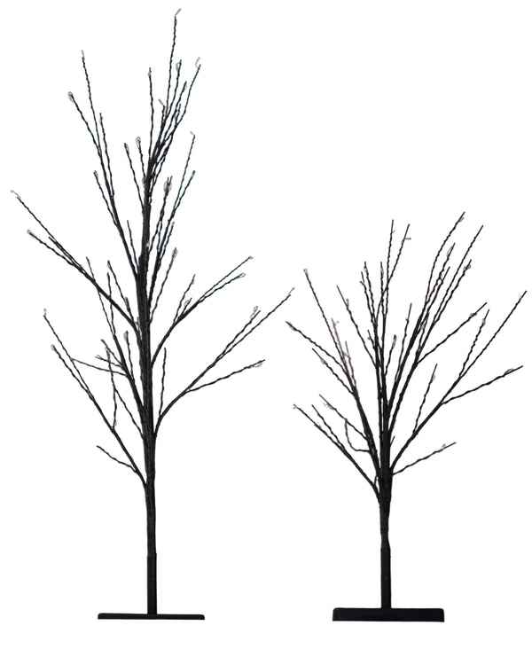 Black Lit Tree