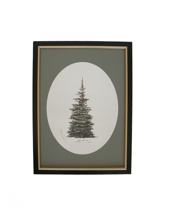 Winter Pine Framed Art