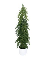 Large Nordic Fir Tree