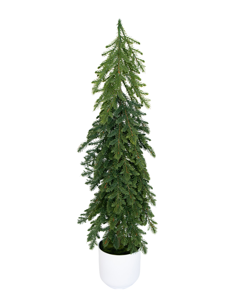 Large Nordic Fir Tree