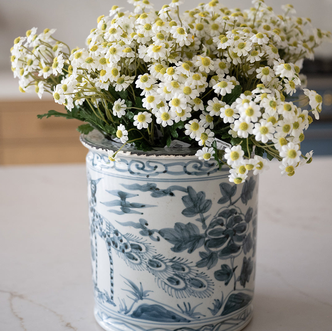 Daisy Bundle