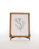 Botanical Sketch Art - Framed