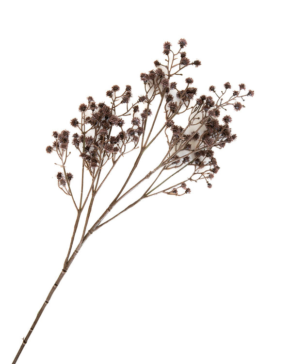 Sugarplum Stem