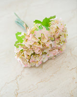 Blush Hydrangea Bundle