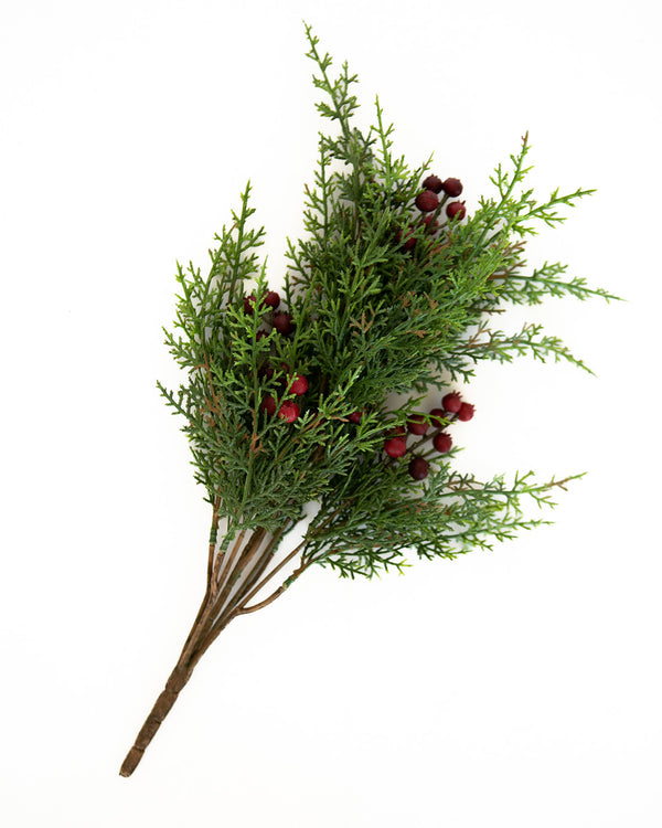 Holly Berry Stem