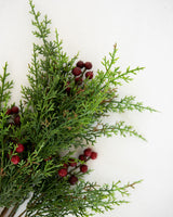 Holly Berry Stem