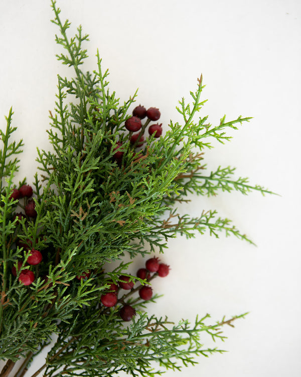 Holly Berry Stem
