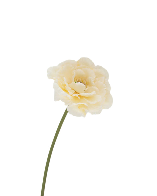 Buttercream Poppy Stem