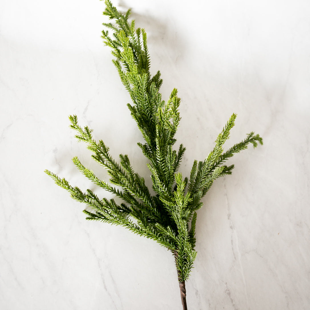 Noel Cedar Spray