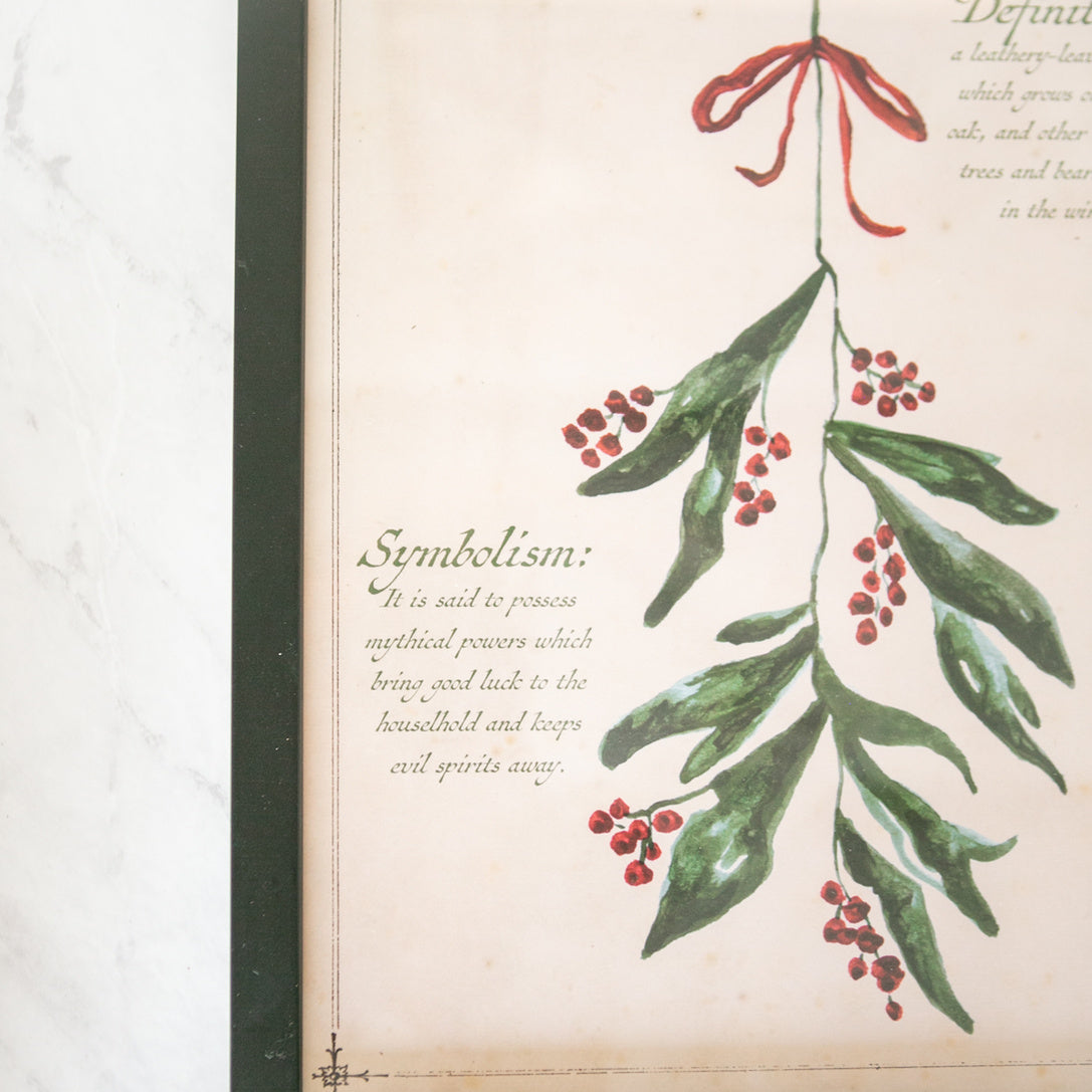 Mistletoe Framed Art