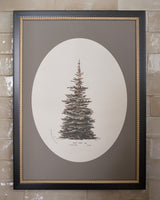 Winter Pine Framed Art