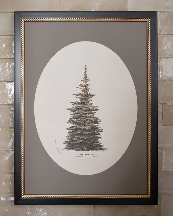 Winter Pine Framed Art