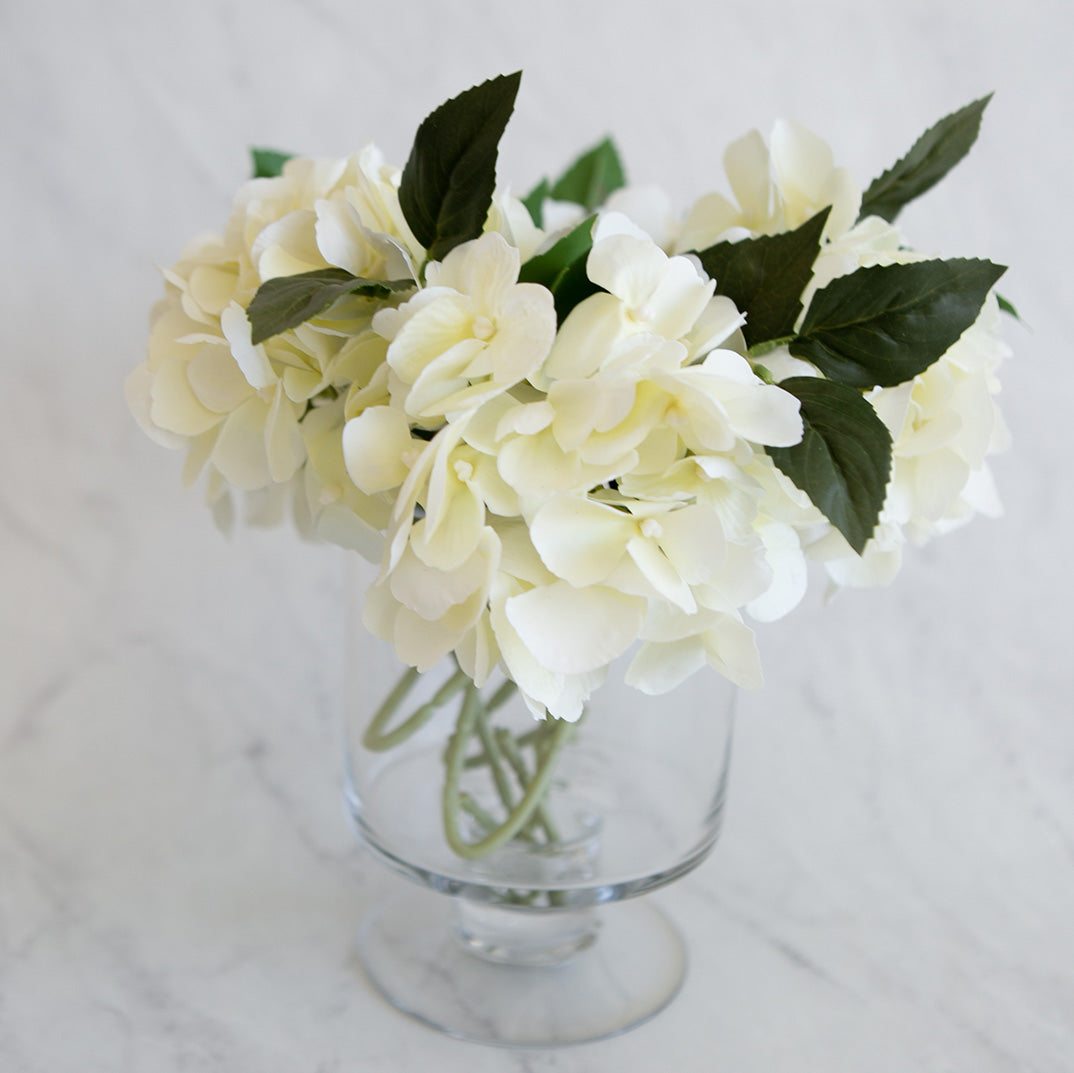 Celeste Hydrangea Stem