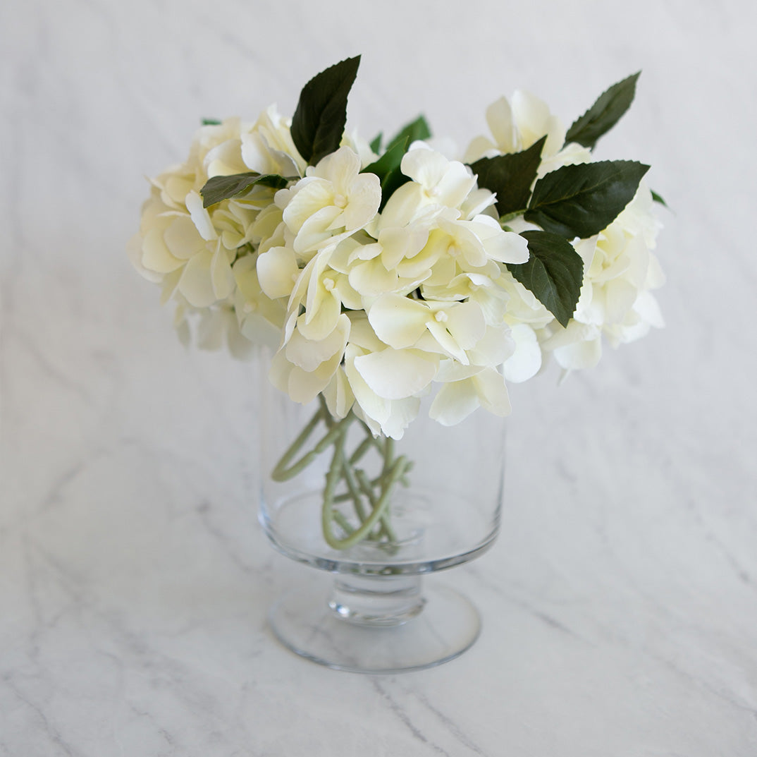 Haven Glass Pedestal