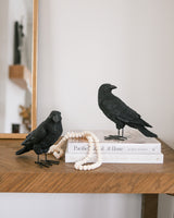 Fright Night Crows- Set of 2