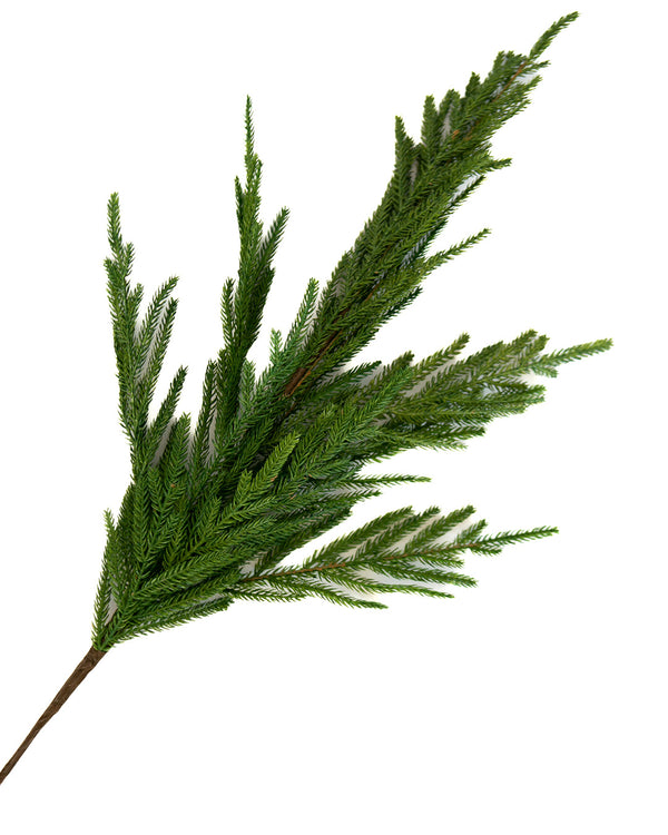 Pine Stem