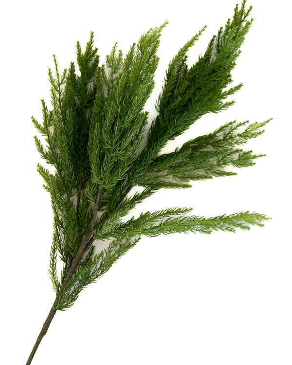 Alpine Stem