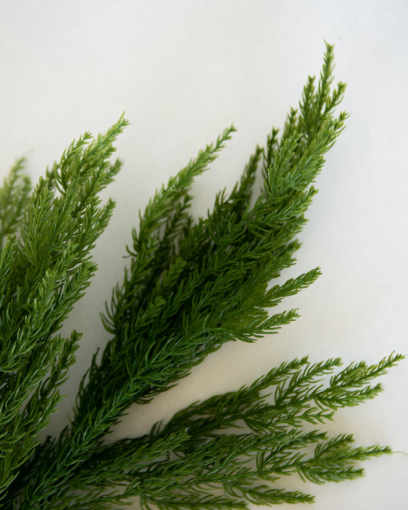 Alpine Stem