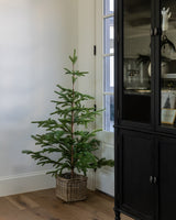 Faux Spruce Tree