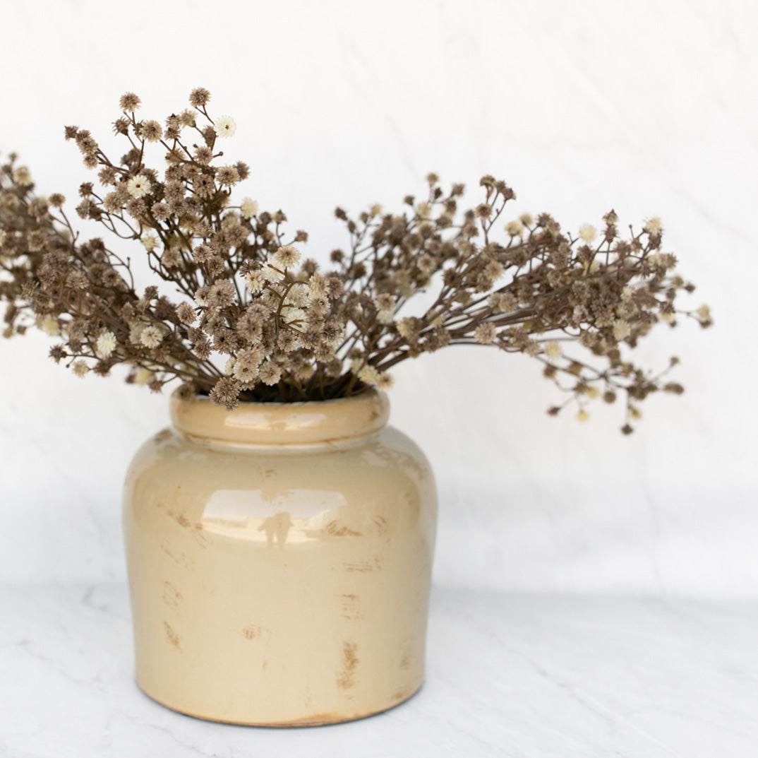 Olive Stem